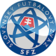 Slovensko fotbalový dres